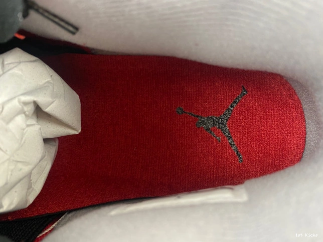 308497-603 Bravo Retro Jordan Toro 4 0530